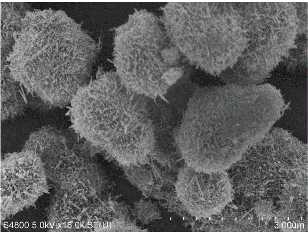 Preparation method of three-dimensional echinoid ZnS/CdS composite semiconductor photocatalytic nano material