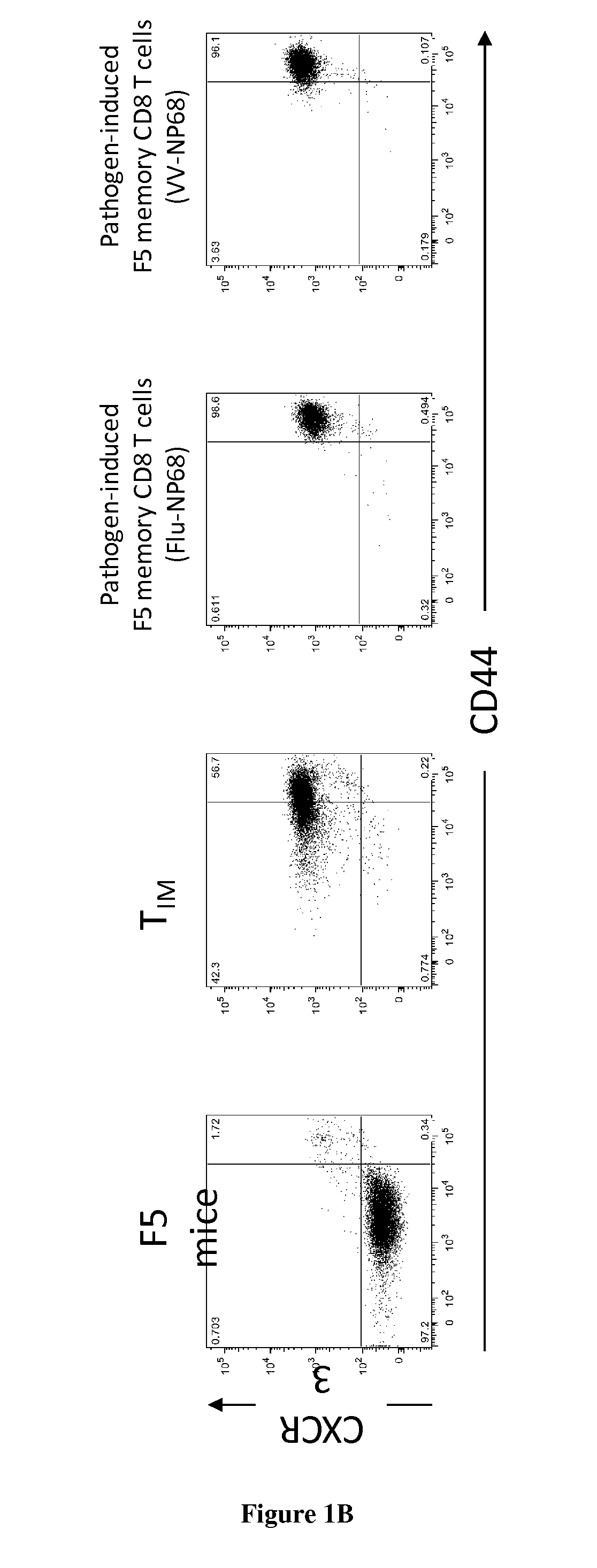 Methods and kits for detecting antigen-induced memory cd8+ t cells