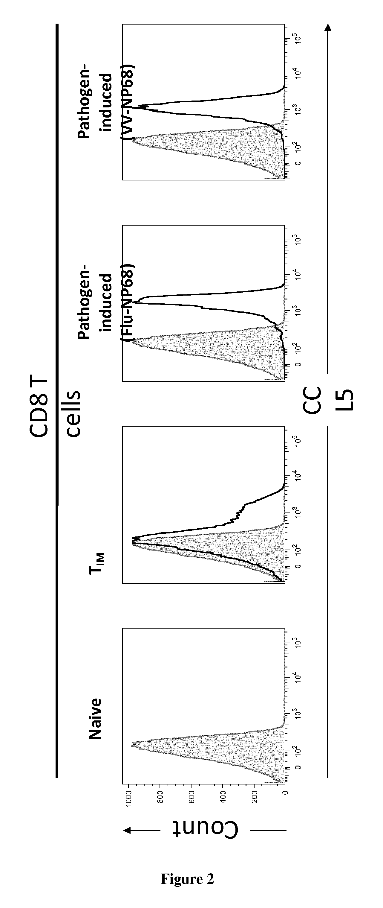 Methods and kits for detecting antigen-induced memory cd8+ t cells