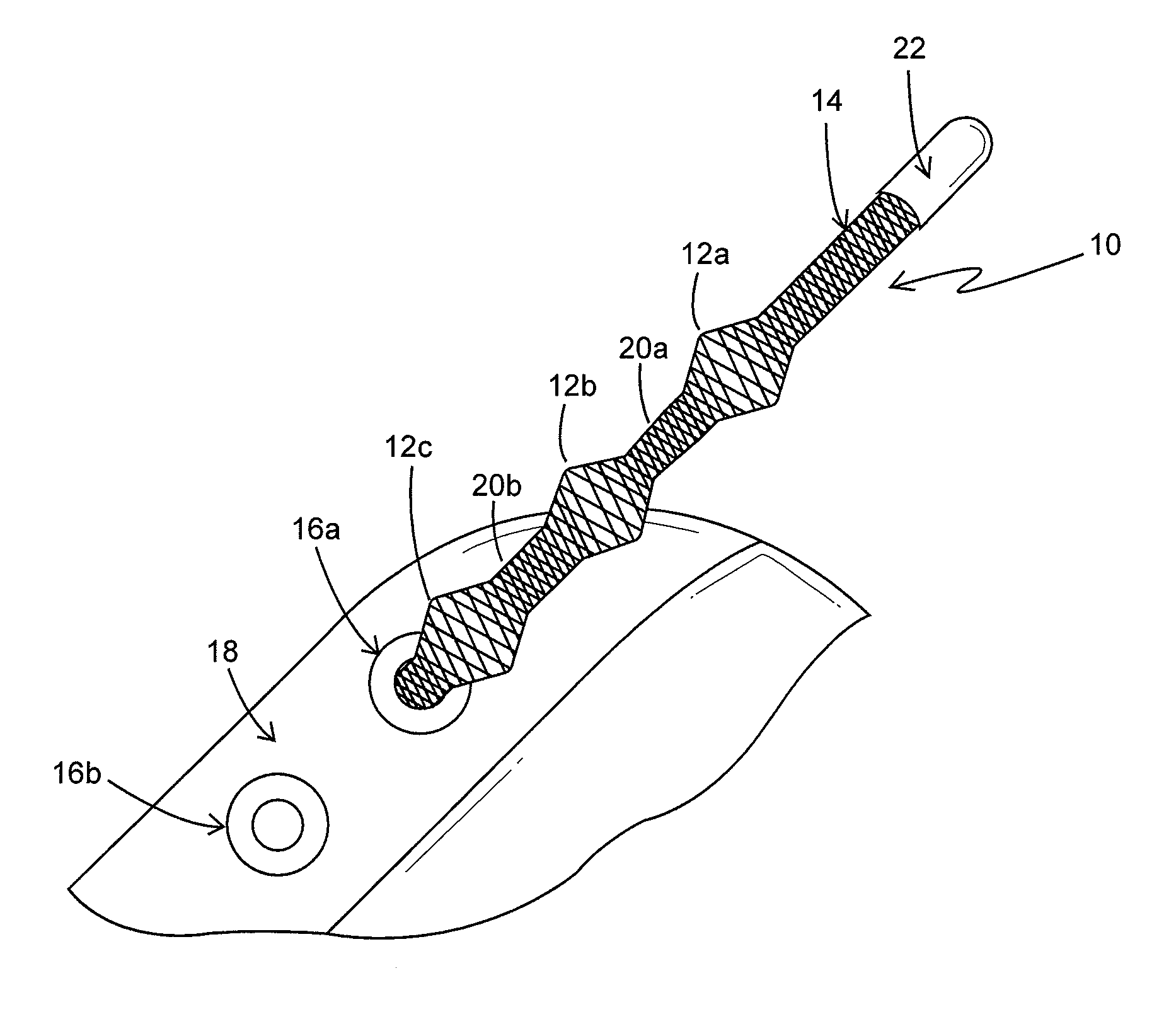 Elastic cord having tapered protruding portions