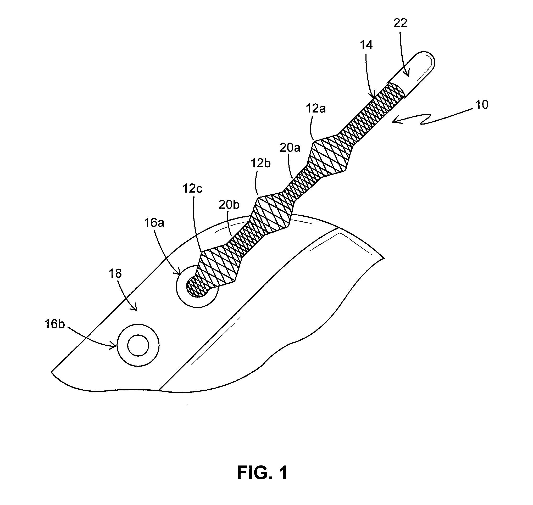 Elastic cord having tapered protruding portions