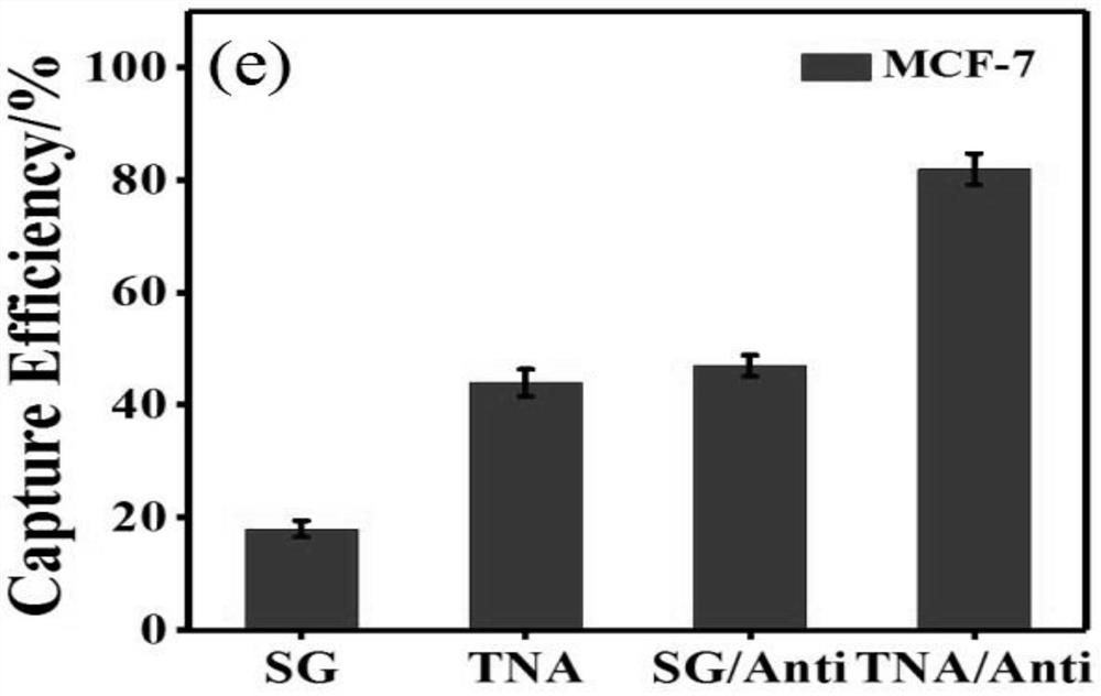 TiO2 nanowire array substrate and preparation method and application thereof