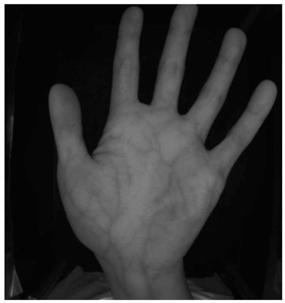 An identification method and device based on hand veins