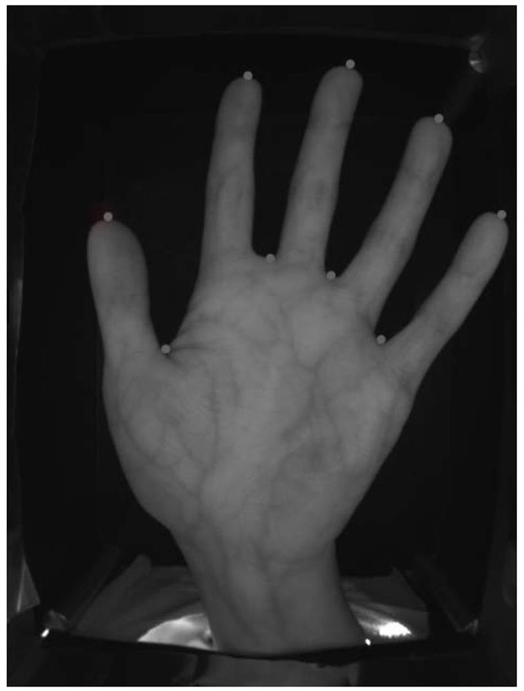 An identification method and device based on hand veins