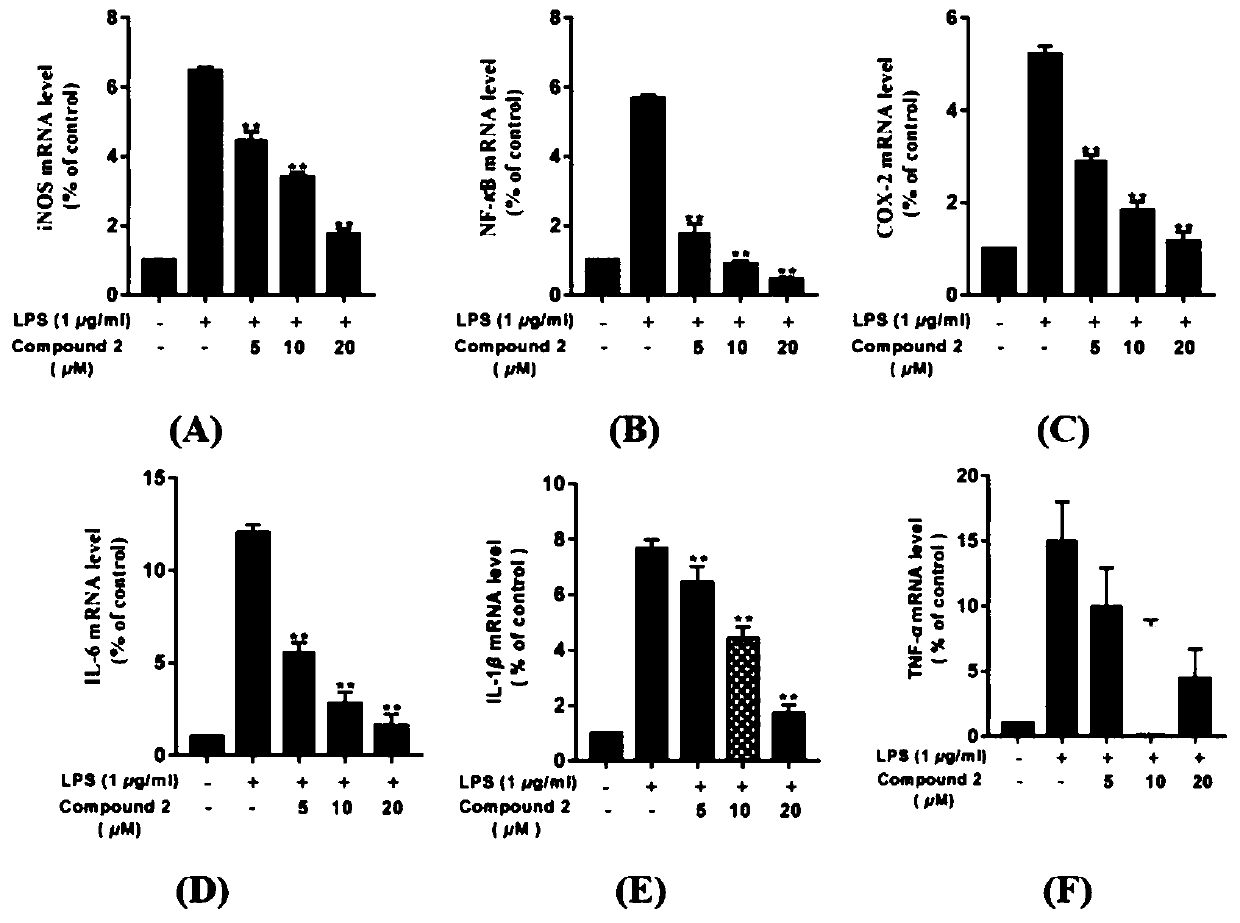 Preparation method of dammarane saponin and application of dammarane saponin in preparation of hypoglycemic and anti-inflammatory drugs and health products