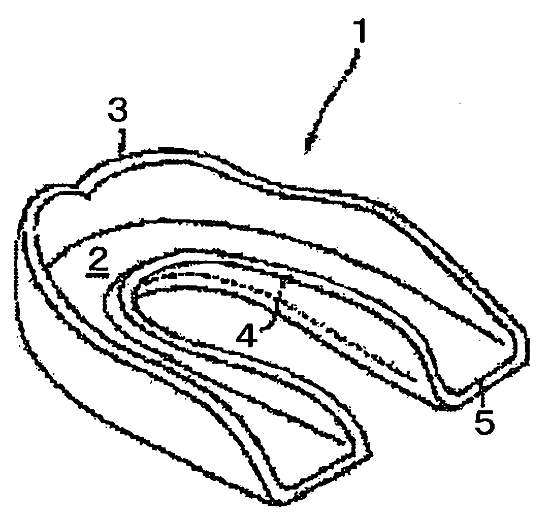 Light Irradiation Device For Oral Cavity
