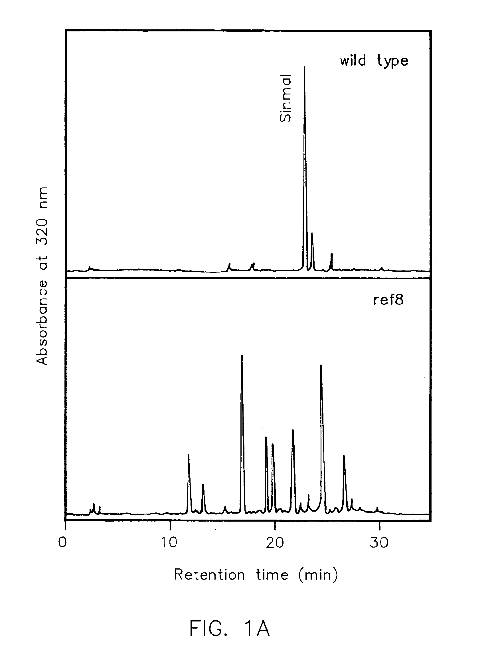 Genes encoding p-coumarate 3-hydroxylase (C3H) and methods of use