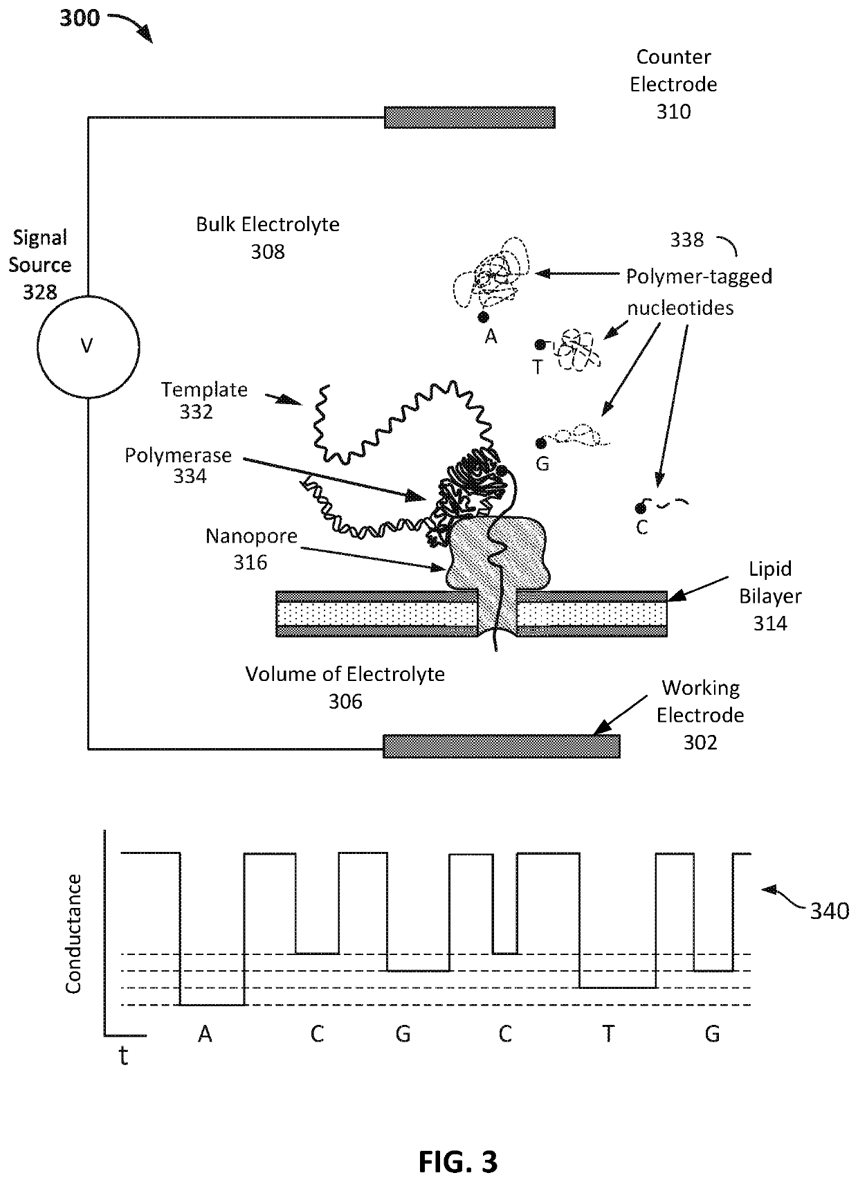 Normalization and baseline shift removal by rotation in added data dimensions