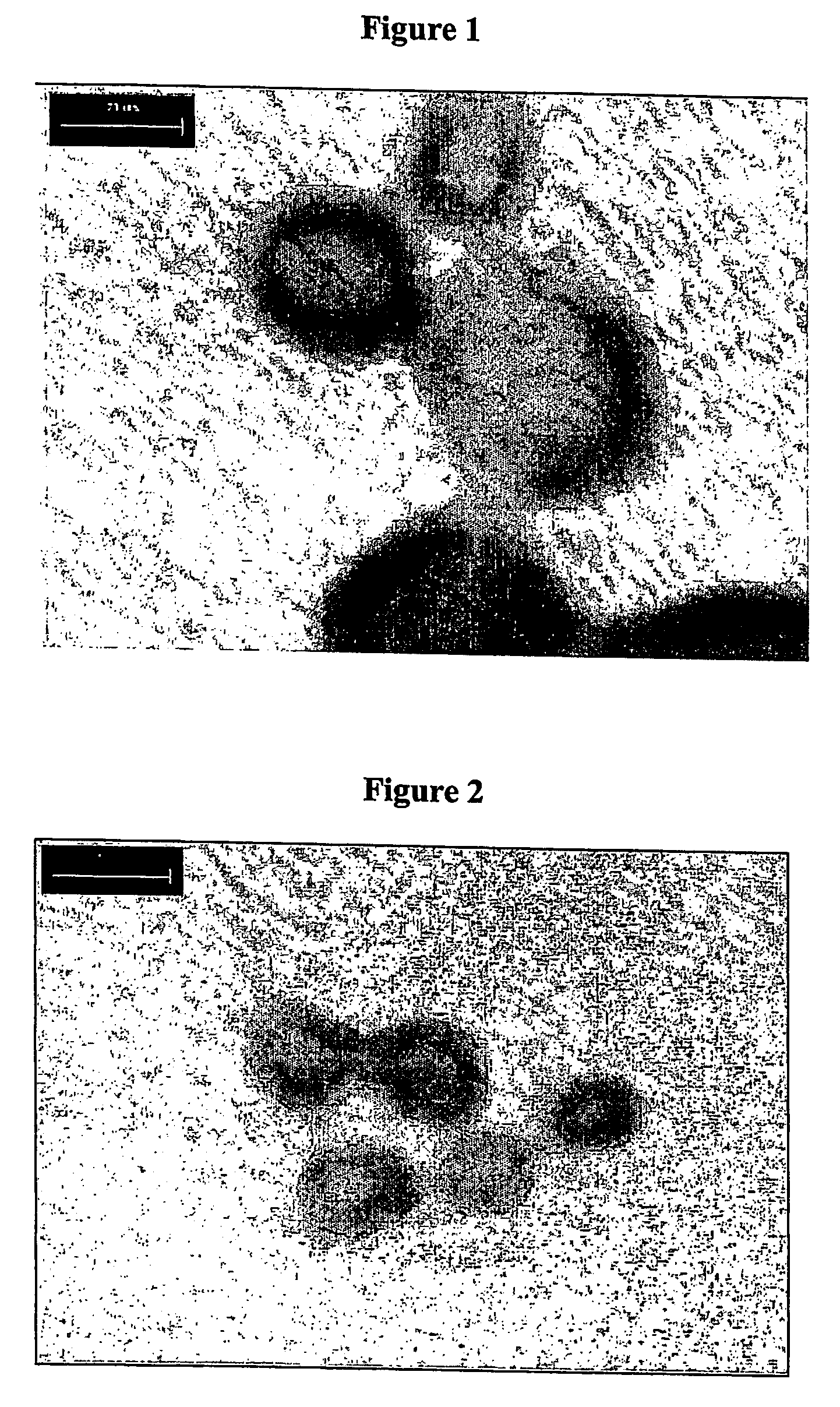 Method for preparing microcapsule by miniemulsion polymerization