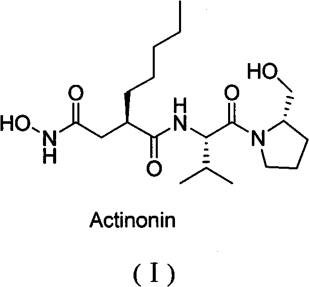 Peptide deformylase inhibitor containing 4-methylene pyrrolidine