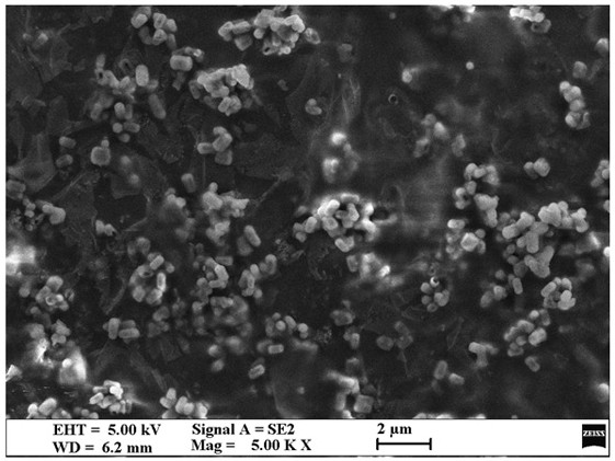 A kind of anti-ultraviolet and anti-fog polyethylene shed film and preparation method thereof