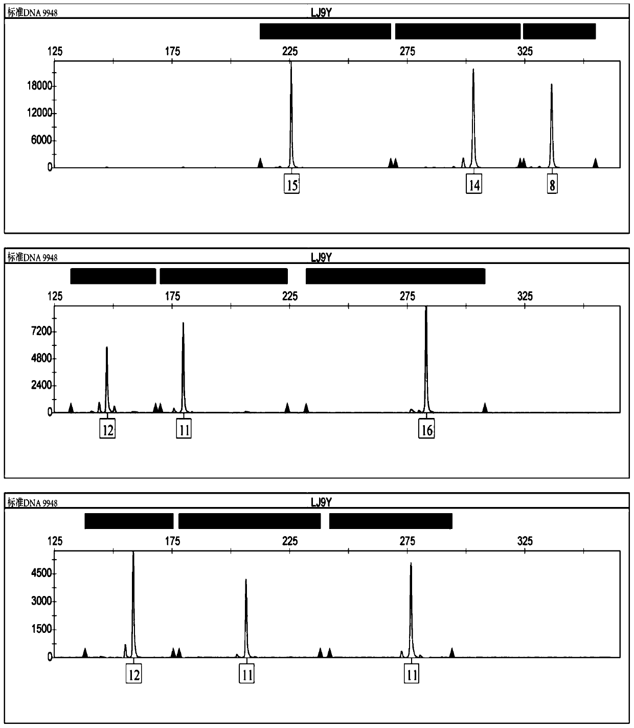 Forensic fluorescence composite detection kit based on 9 slow-mutation Y chromosome STR genetic markers