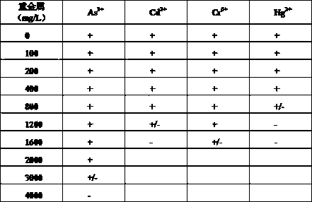 A Strain Antimonas Pseudomonas xks1 and Its Application