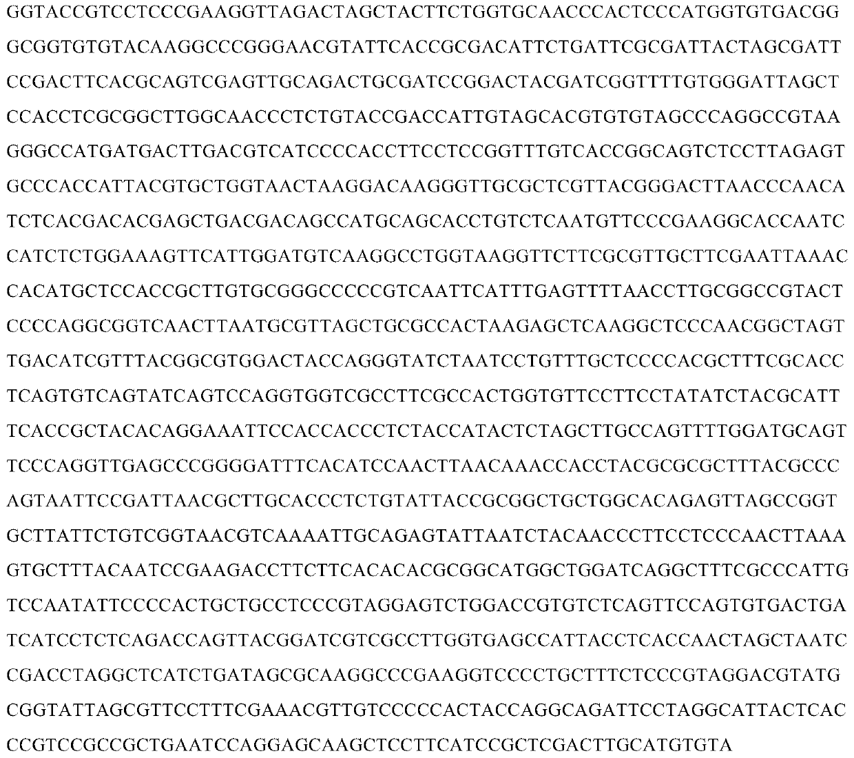 A Strain Antimonas Pseudomonas xks1 and Its Application