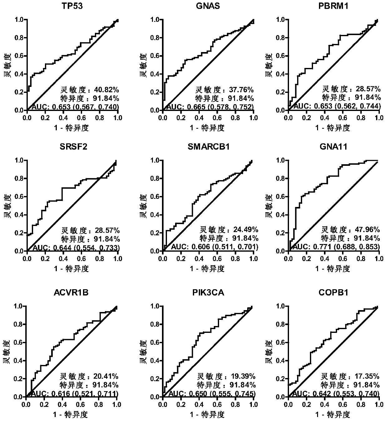 Serum protein marker, kit and detection method for gastric cancer early screening and diagnosis