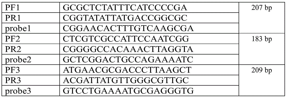 Detection method of rhodobacter sphaeroides phage in coenzyme Q10 production