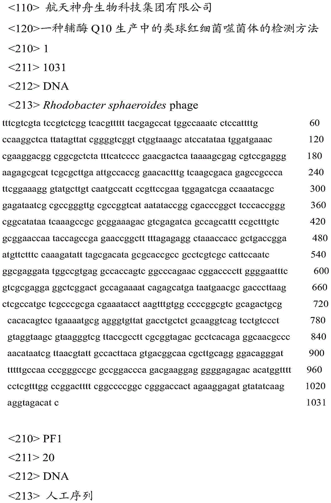 Detection method of rhodobacter sphaeroides phage in coenzyme Q10 production