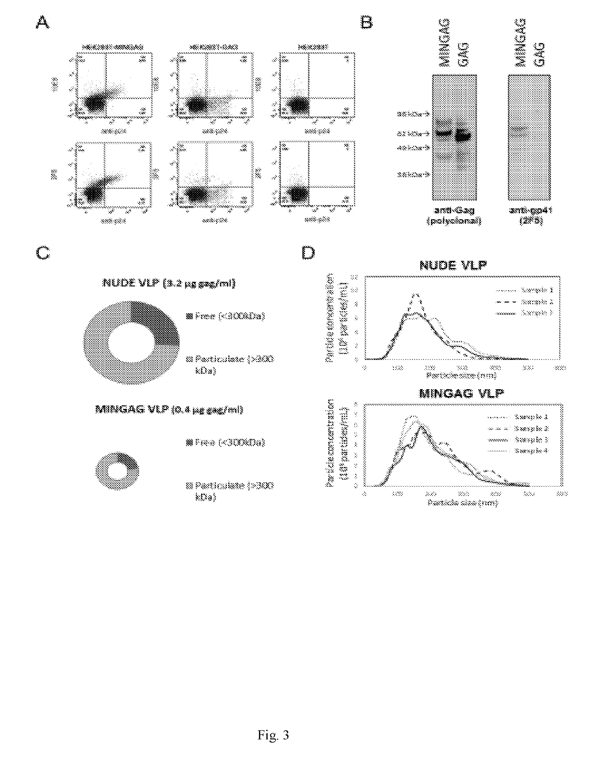 Virus-like particles with high-density coating for inducing the expression of antibodies