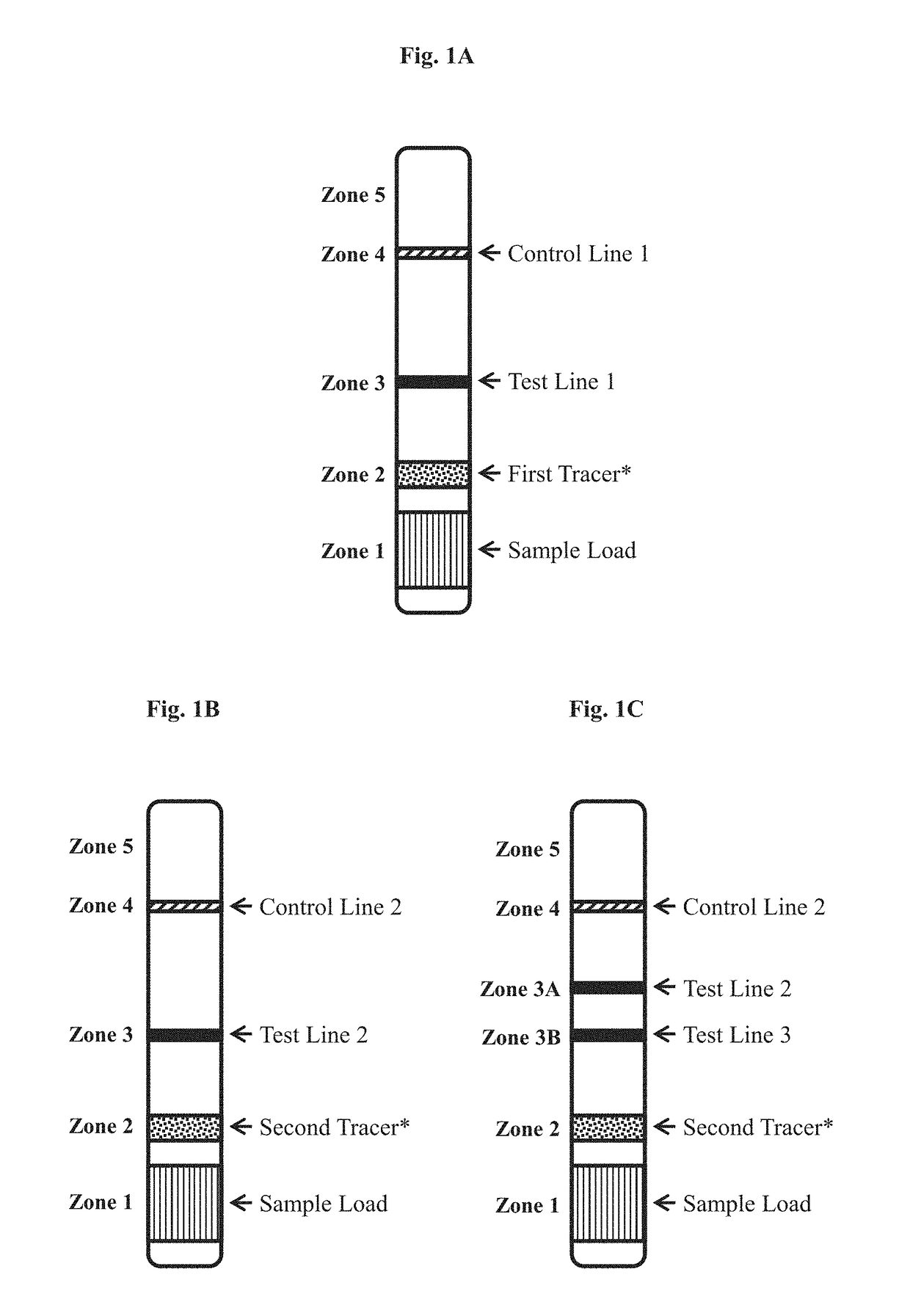 Rapid immunochromatographic lateral flow assay for early zika disease detection