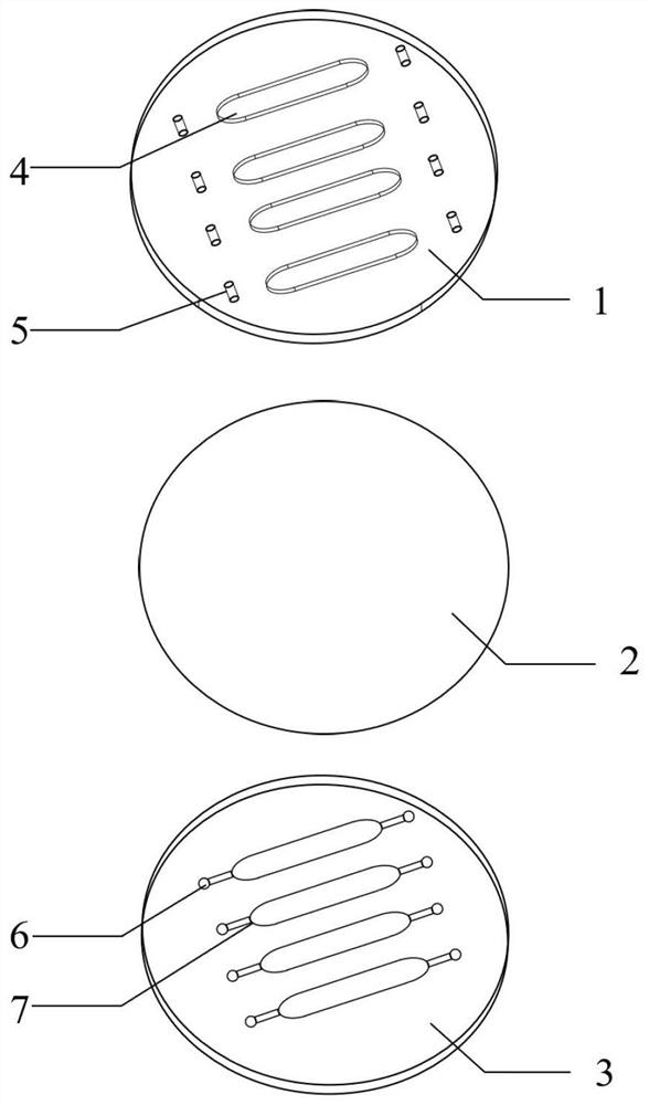 In-vitro vascular tissue-like model with fluid environment and application of in-vitro vascular tissue-like model