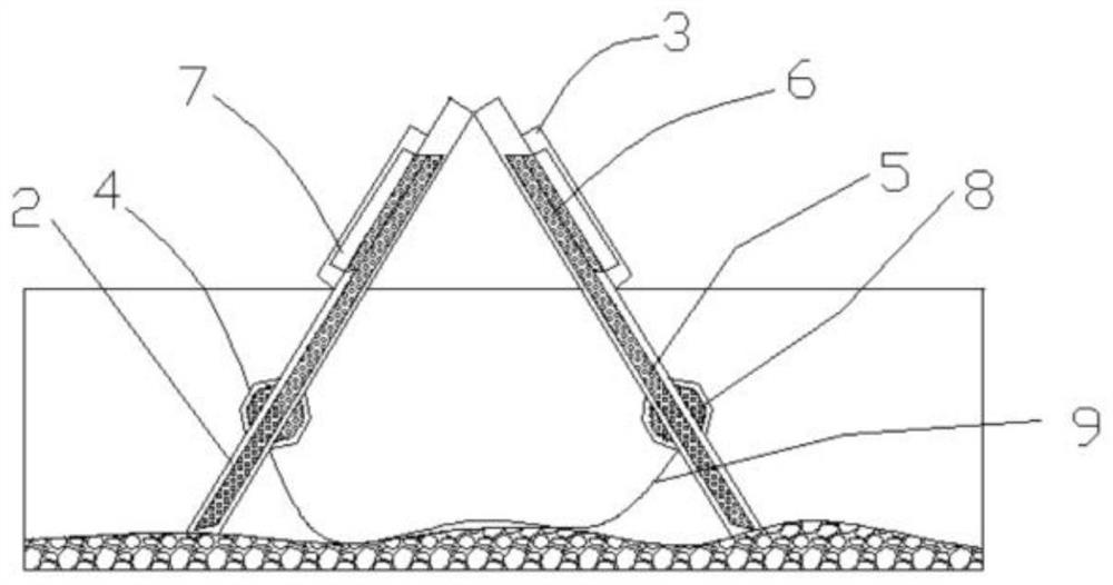 A kind of soft-shelled turtle polyculture technology