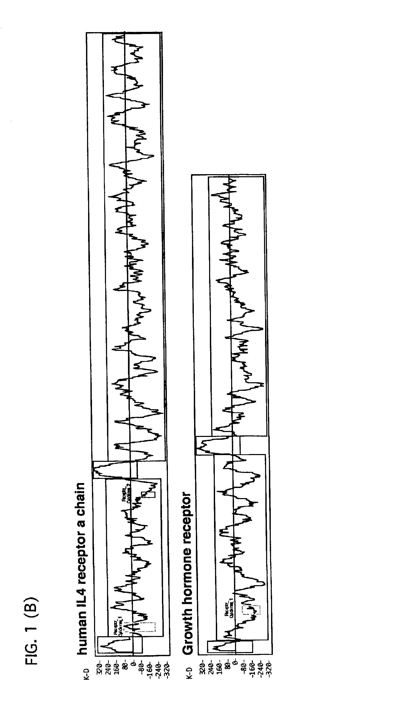 Human derived bradeion proteins, DNA coding for the proteins, and uses thereof