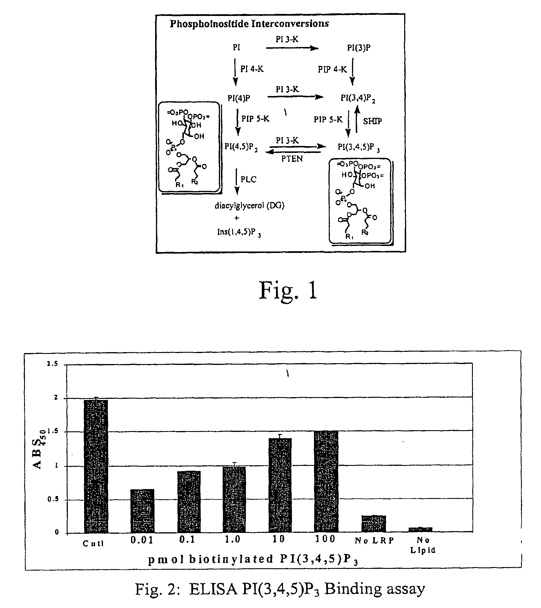 Assaying apparatus, kit, and method for lipids and associated enzymes