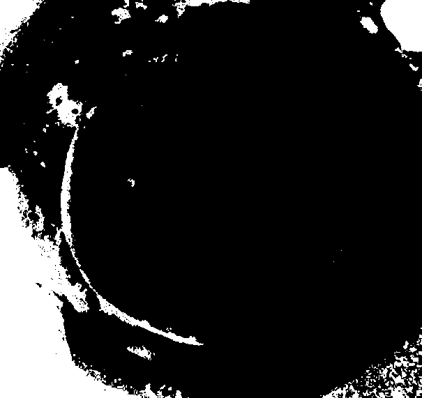 Completion fluid used for removing filter cake formed by oil-based drilling fluid and preparation method thereof