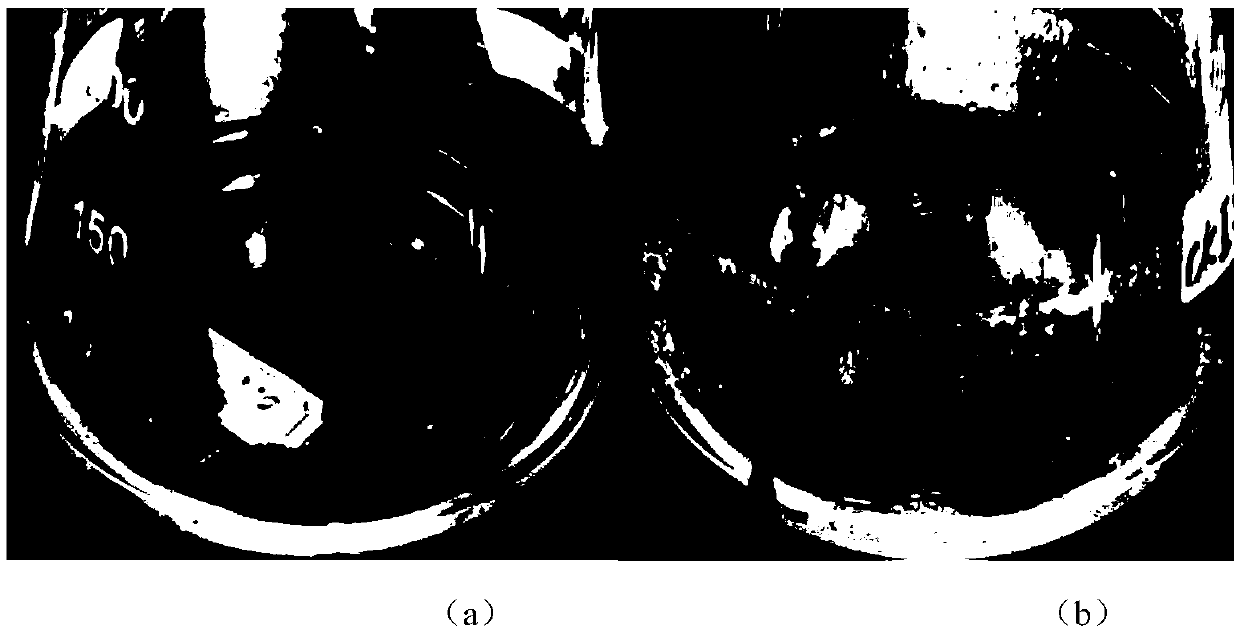 Preparing method of multifunctional protection coating of medical instruments and medical consumables