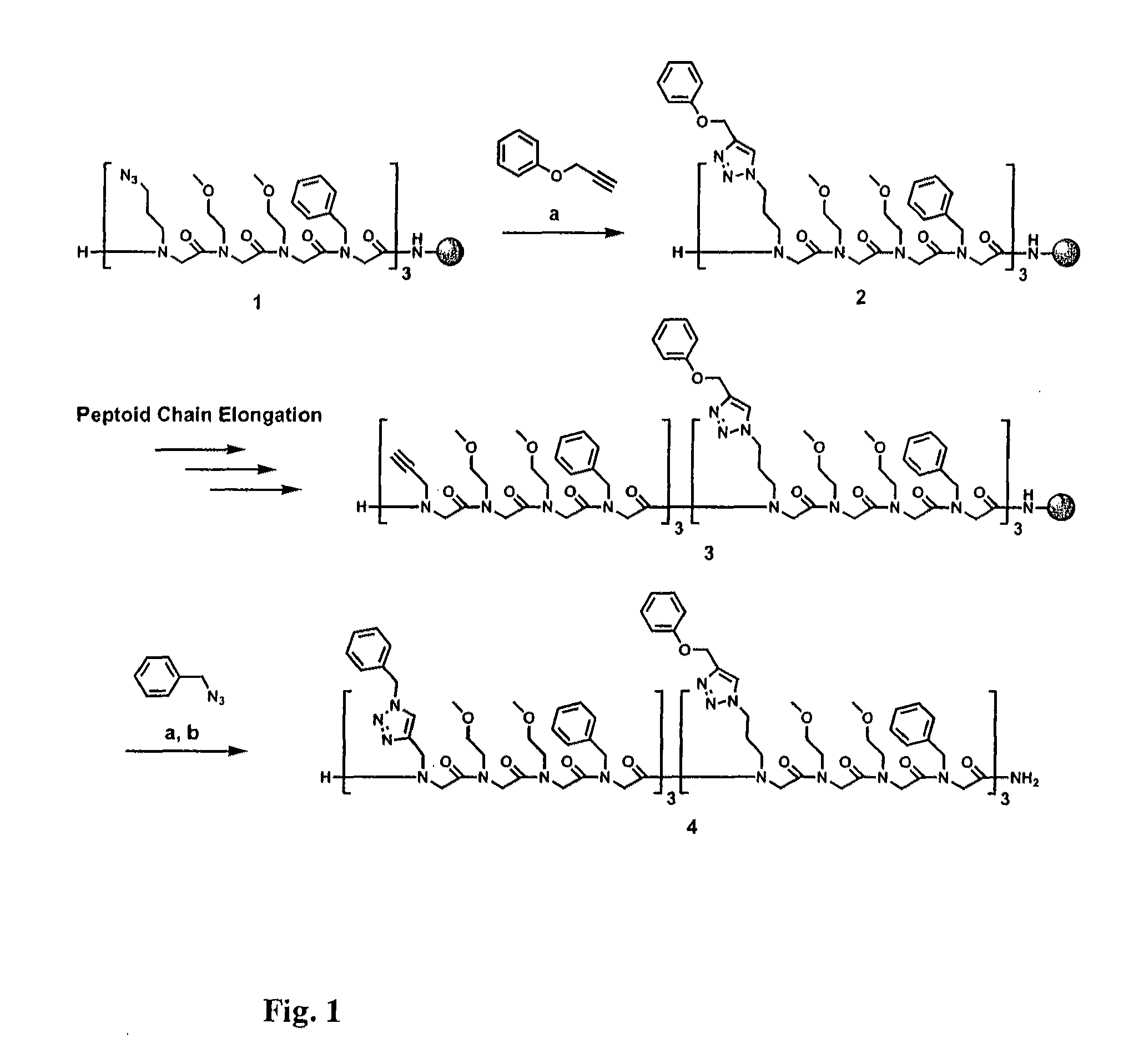 Method for site-specific polyvalent display on polymers