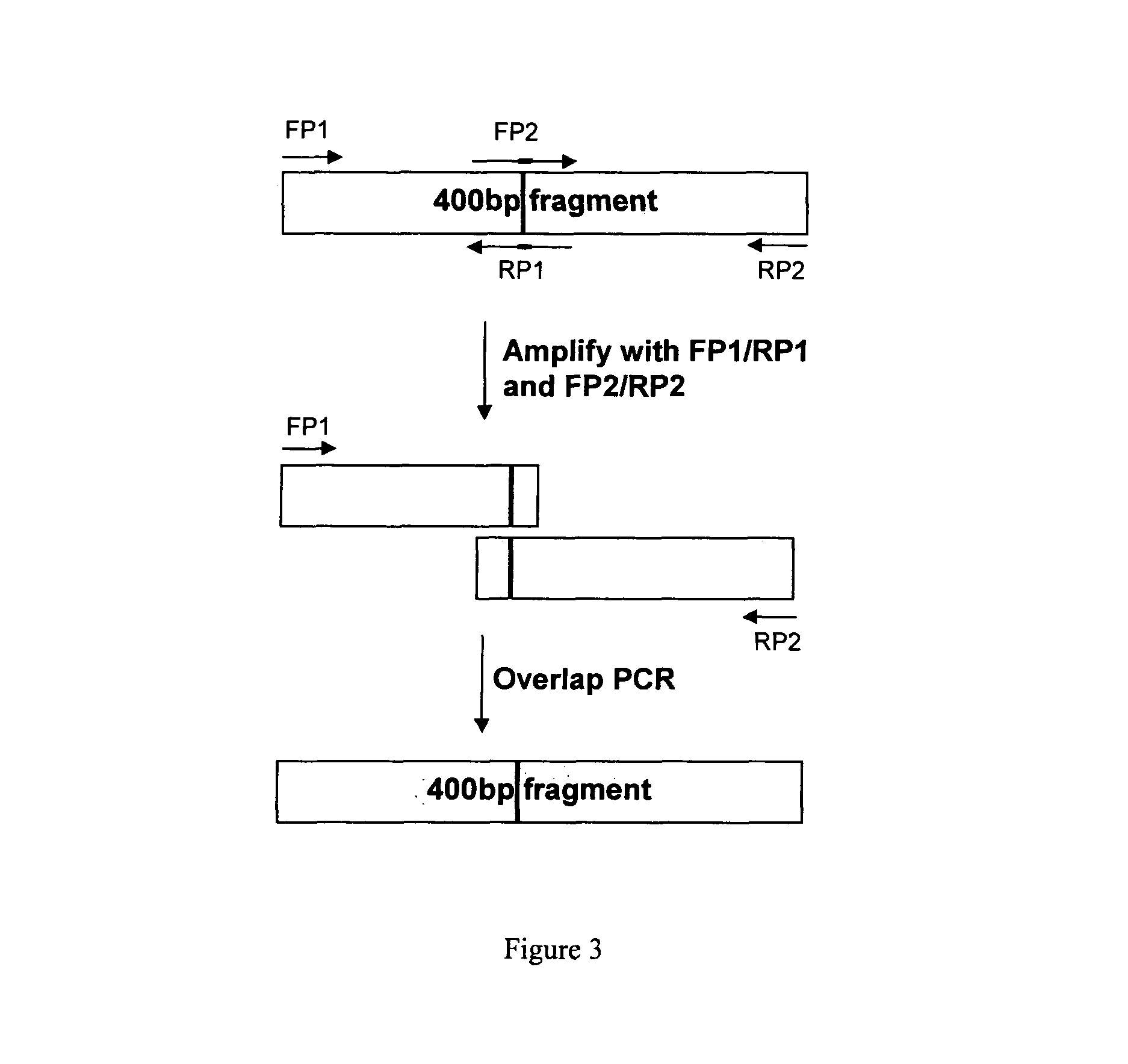 Method of producing biologically active polypeptide having insulinotropic activity