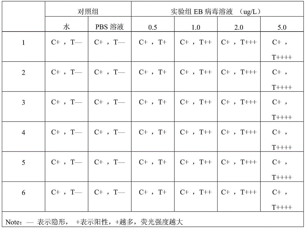 Method for detecting EB (Epstein-Barr) virus, quantum dot labelled immunochromatographic test strip and preparation method thereof