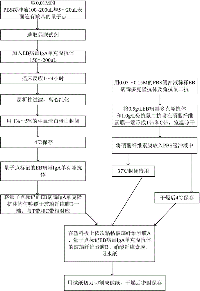 Method for detecting EB (Epstein-Barr) virus, quantum dot labelled immunochromatographic test strip and preparation method thereof