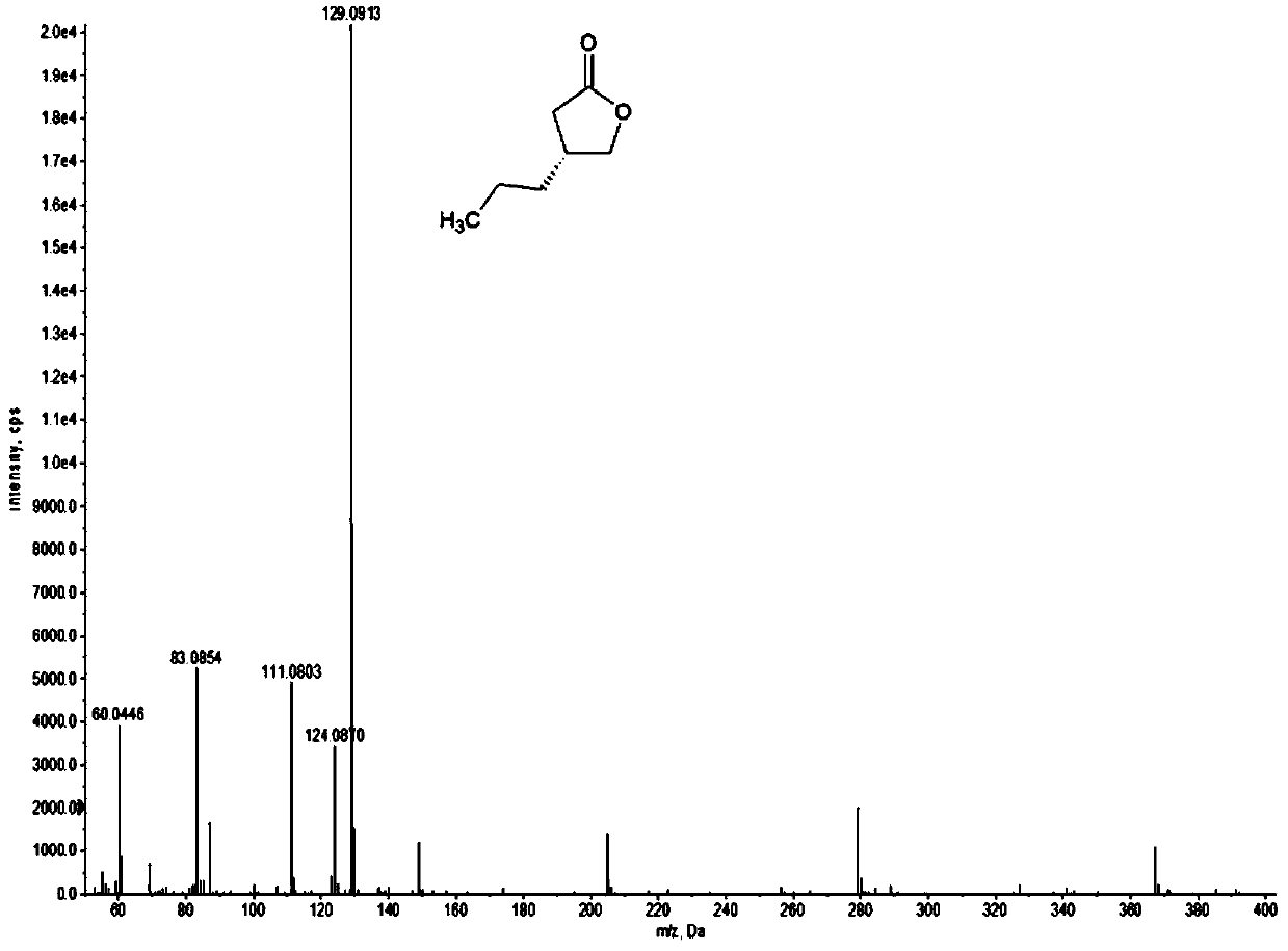 Ketene reductase and preparation method of brivaracetam intermediate