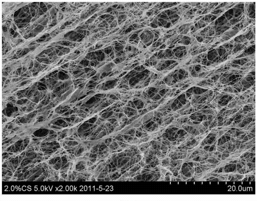 Bacterial cellulose facial mask with gradient structure and preparation method of facial mask