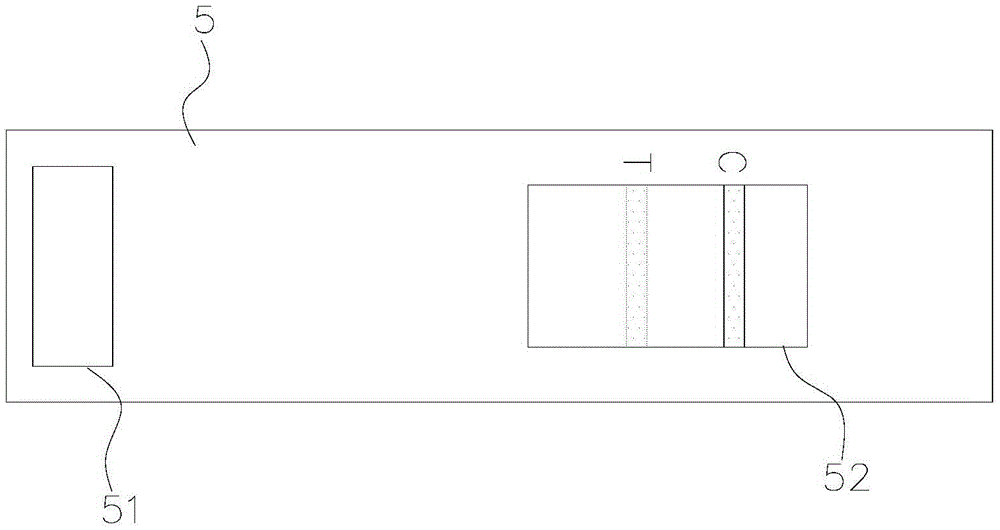 A kind of rapid diagnostic test paper and preparation method thereof