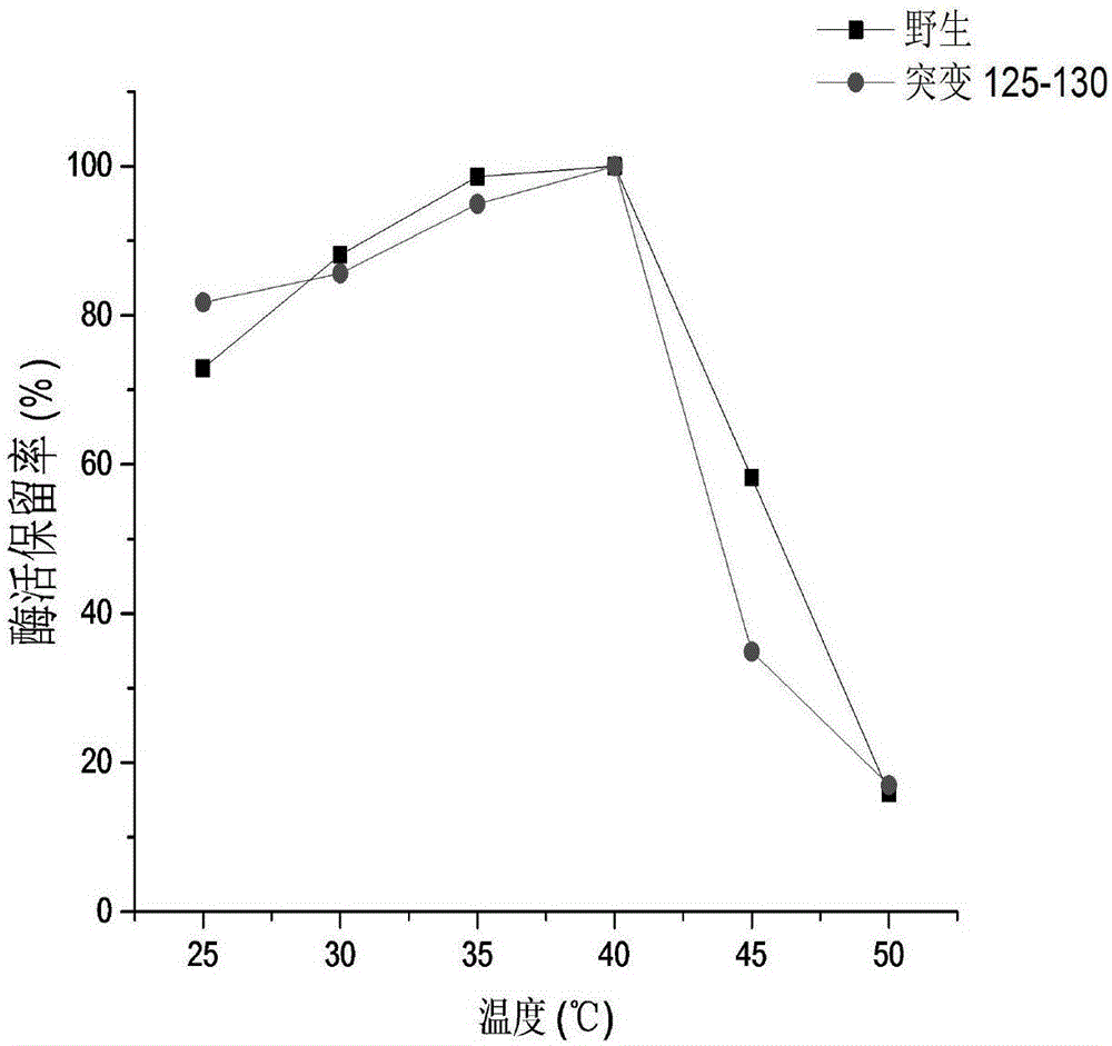 Method for improving heat stability of creatinase