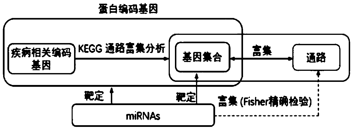 Method for identifying disease-related miRNA and method for deducing enrichment signal pathway