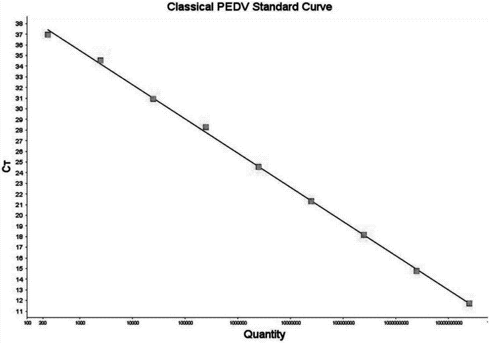 Porcine epidemic diarrhea virus (PEDV) fluorescent quantitative PCR primer and probe