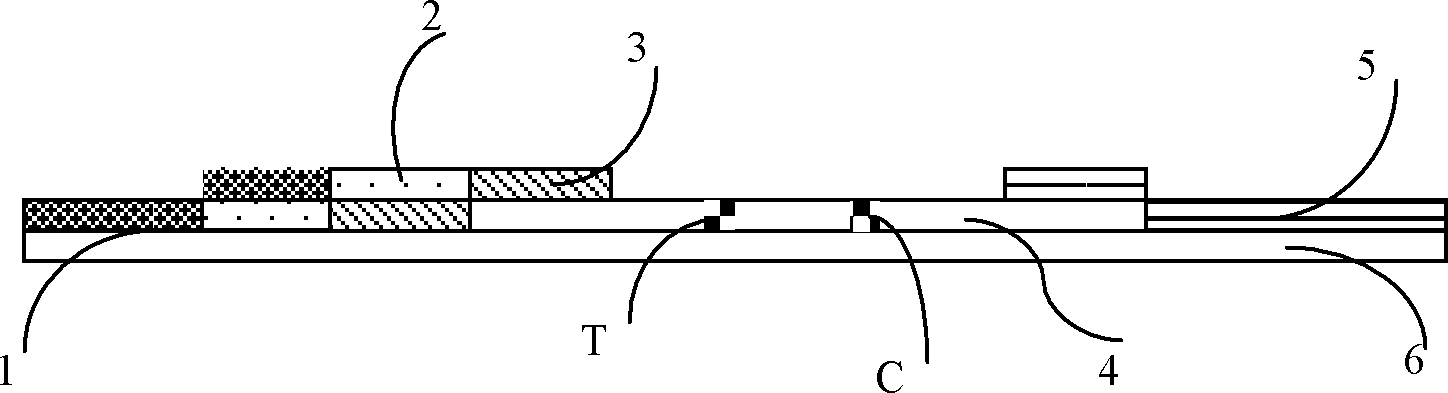 Colloidal gold test paper for quickly detecting troponin I and preparation method for colloidal gold test paper