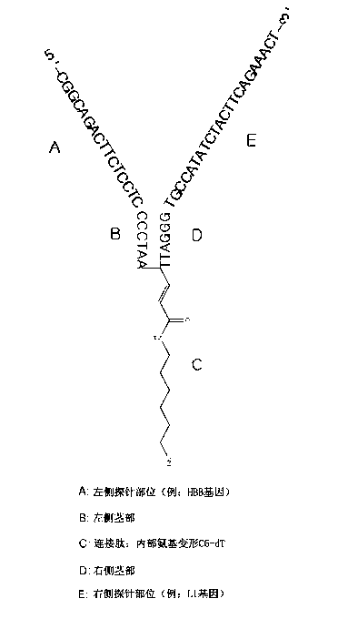 Y-probe and variation thereof, and DNA microarray, kit, and gene analysis method using the Y-probe and the variation thereof
