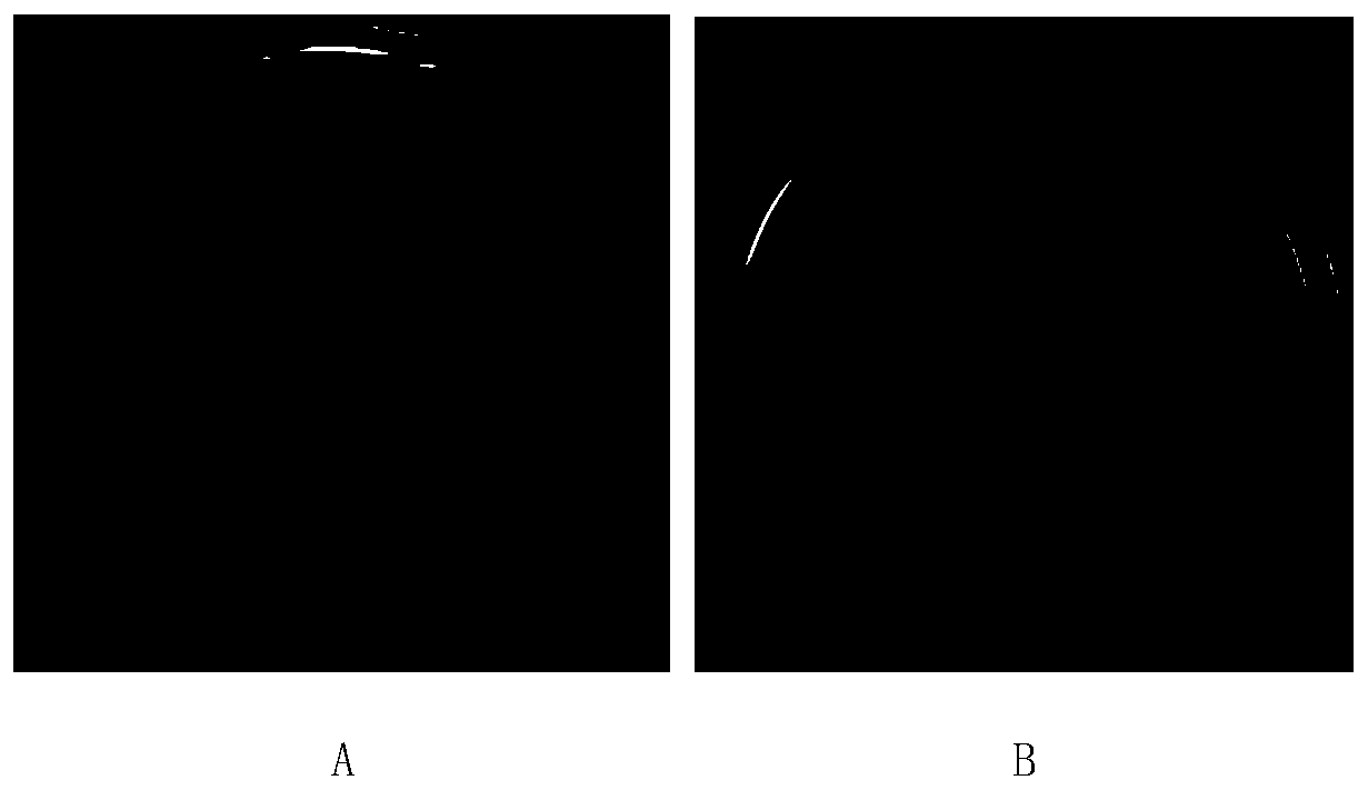 Plant fungicide derived from Tripterygium wilfordii and its preparation method and application