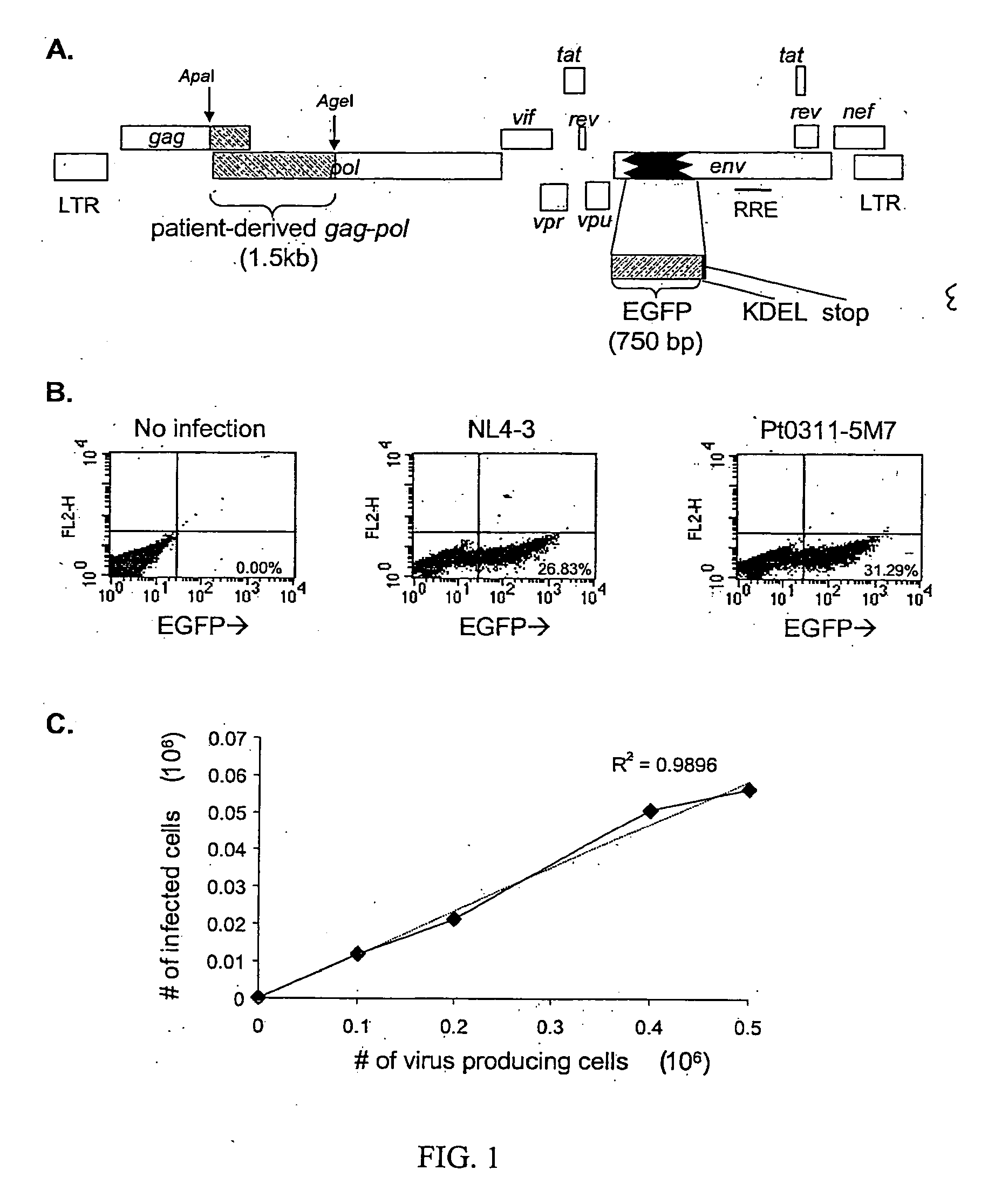 Single cell analysis of HIV replication capacity and drug resistance