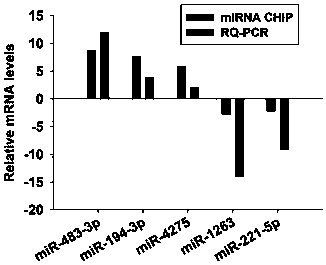 Serum miRNA combination as molecular marker for assessing non-obstructive azoospermia
