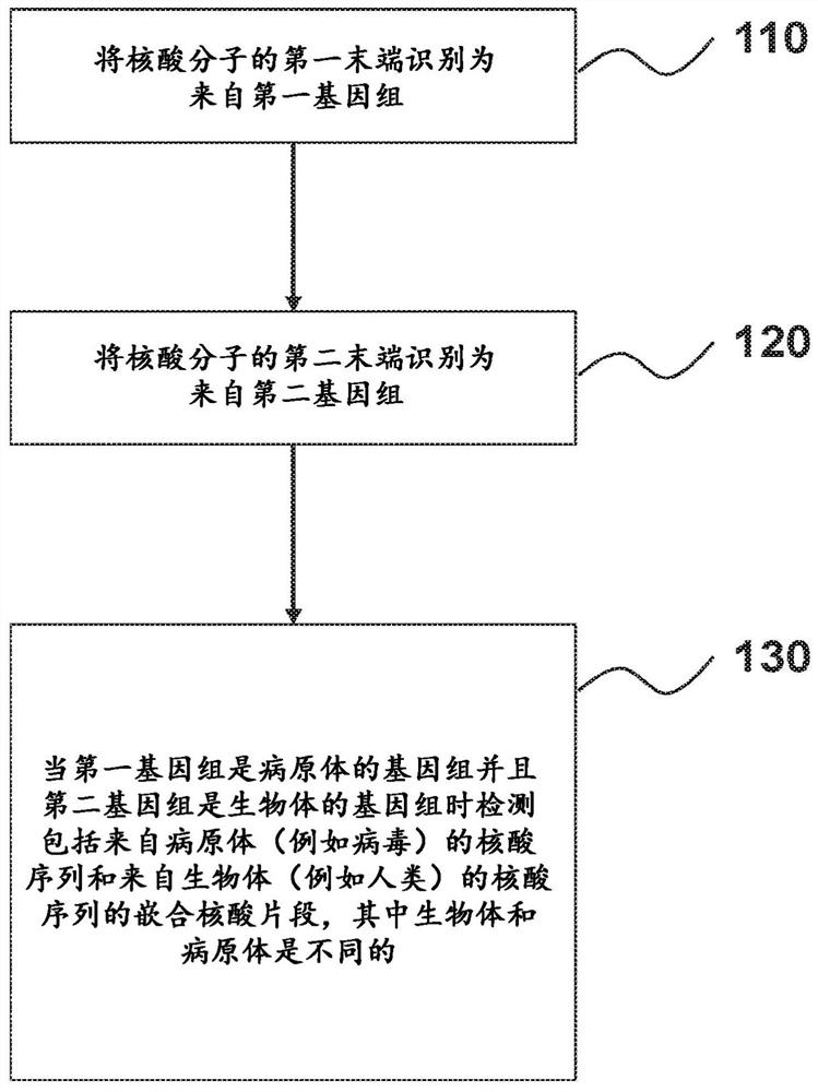 Nucleic acid rearrangement and integration analysis