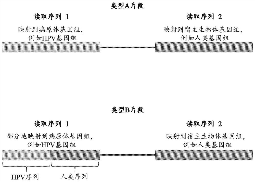 Nucleic acid rearrangement and integration analysis