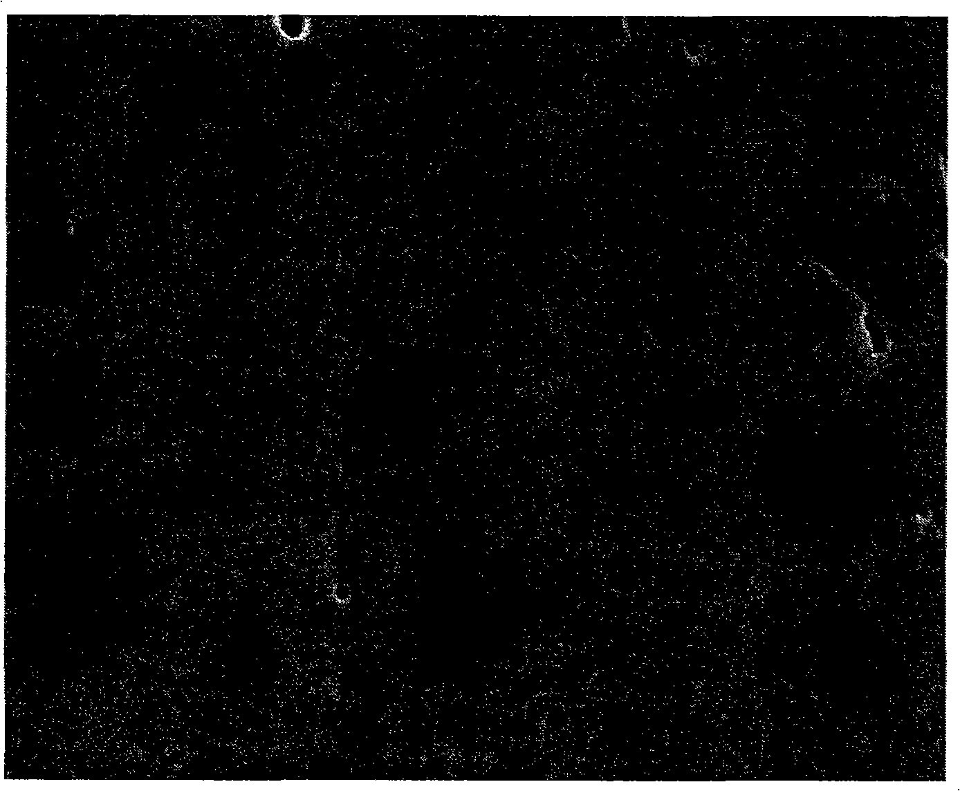 Soy protein / emulsion polymerization high polymer nano composite material, and preparation and use thereof