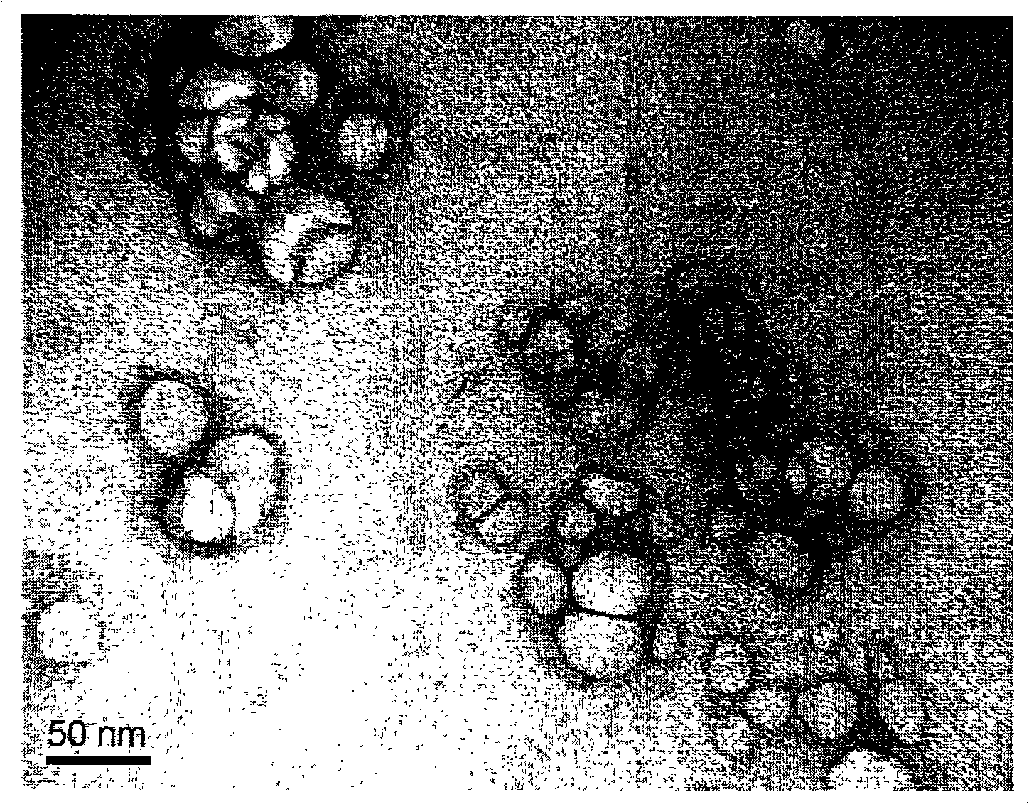 Soy protein / emulsion polymerization high polymer nano composite material, and preparation and use thereof