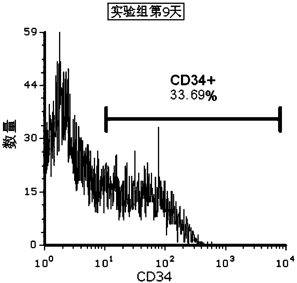 Culture method of CD34+ hematopoietic stem cells
