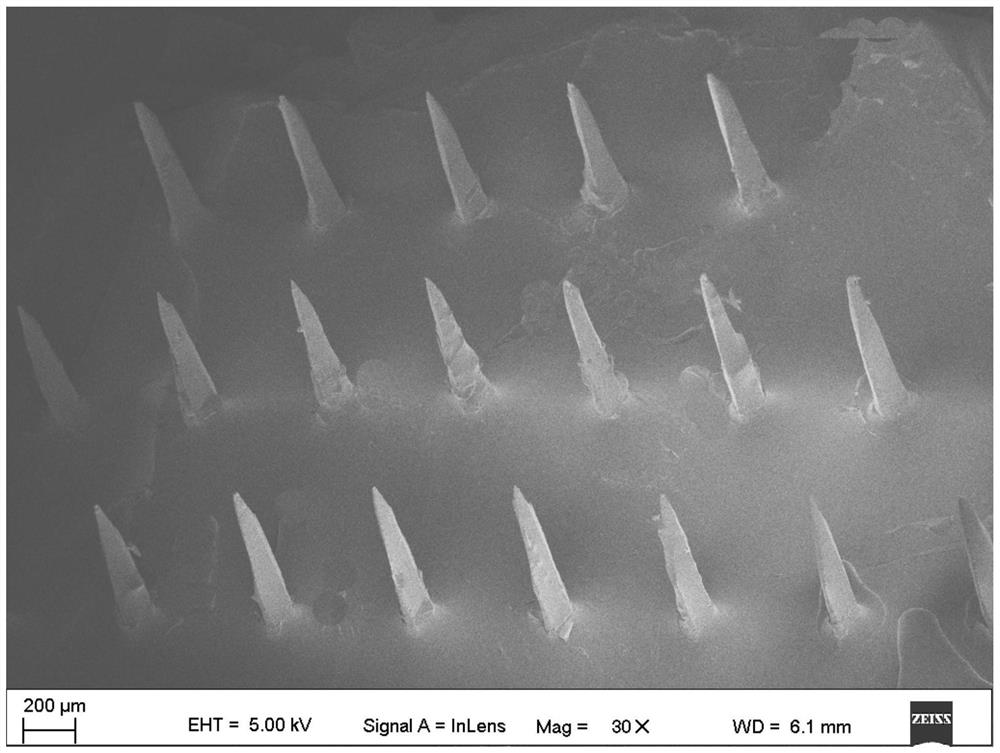 A graphene transdermal drug delivery microneedle